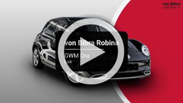 2025 GWM Ora Lux Auto